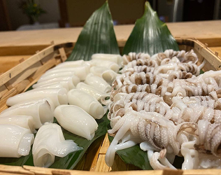 新烏賊